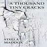 A Thousand Tiny Cracks