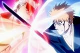 Bleach 108