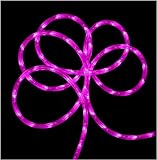 51cVaB8xAPL. SL160  18 Hot Pink LED Indoor/Outdoor Christmas Rope Lights