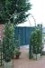 Garden Arch - Rose Archway
