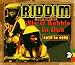 Riddim: The Best Of Sly & Robbie In Dub 1978-1985