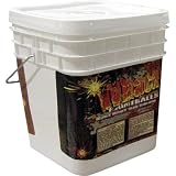 Nelson Whack 2000 Count Paintballs