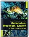 Schnecken, Muscheln, Kraken im Meerwasseraquarium