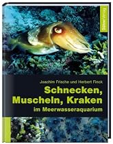 Schnecken, Muscheln, Kraken im Meerwasseraquarium