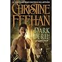 Dark Peril (Carpathian)