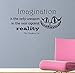 Cheshire Cat Quote - Imagination Is the Only Weapon in the War Against Reality Wall Decal- Black (24