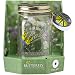 Butterfly in a Glass Jar – Yellow Swallowtail