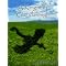 Get These Confidence Download Books