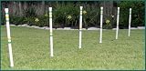 6 Stick in the Ground Weave Poles for Small Dog – Agility Equipment