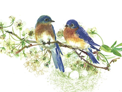 Gina B. Designs Bluebirds Boxed Note Cards-- Set of 8 with Spring Green Envelopes