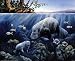 Manatee And Calf Poster by Michelle Mara (20.00 x 16.00)