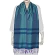 The Scarf Fashion Accessories Silk and Viscose 20 x 72 inches (srft259)