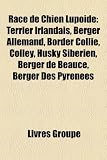 Race de Chien Lupide: Terrier Irlandais, Berger Allemand, Border Collie, Colley, Husky Sibrien, Berger de Beauce, Berger Des Pyrnes