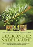 Lexikon der Nadelb&auml;ume: Verbreitung - Beschreibung - &Ouml;kologie - Nutzung - Die gro&szlig;e Enzyklop&auml;tie mit &uuml;ber 800 Farbfotos - Hans J. Schuck, Peter Sch&uuml;tt, Horst Weisgerber