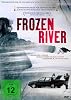 Frozen River (DVD)