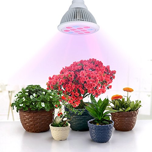 Best Grow Light For Indoor Plants Small, Medium, Large
