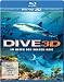Dive 3D - Im Reich der wilden Haie (3D Version inkl. 2D Version & 3D Lenticular Card) [3D Blu-ray]