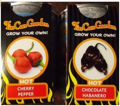 Hot Cherry Peppers & Chocolate Habanero Tin Can Garden Grow Your Own Veggies