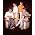 Thumbnail image of The Shadows