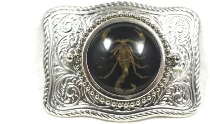 Scorpion Silver Plated Buckle, Real Genuine Scorpion ~ Black Background