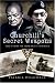 Churchill's Secret Weapons: The Story of Hobart's Funnies