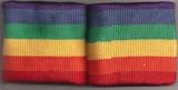Rainbow Wristbands Pair