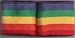 Rainbow Wristbands Pair
