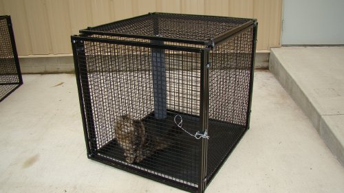 Dog Kennel Cage Crate 3'x3'x3 With Tray