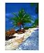 beach azure 2 Places Photographic Poster Print by David C Harnetty, 16x20