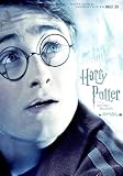 Harry Potter And The Deathly Hallows Part II Poster Movie E 11 X 17 Inches  28cm X 44cm