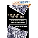 Troubling the Waters: Black-Jewish Relations in the American Century (Politics and Society in Twentieth-Century America)