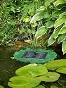 Floating lily solar powered fountain