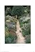 Greg Gawlowski (The Garden Cat) Art Poster Print - 24" X 36"