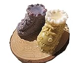 日本接着歯学会