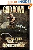Grid Down Perceptions of Reality: Part 3 (Volume 2)
