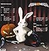 Rabbit Don't Come Easy