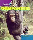 Chimpanzees