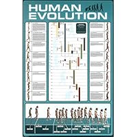 Human Evolution (Educational Chart) Art Poster Print