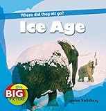 Ice Age : where did they all go?