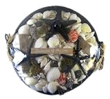 Treasures of the Sea - Sea Shell and Starfish Collection