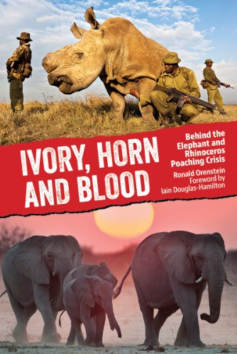 ivory horn and blood behind the elephant and rhinoceros poaching crisis