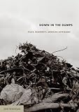  : Down in the Dumps: Place, Modernity, American Depression