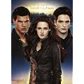 Ravensburger 14220 - Twilight: Edward und Bella-Puzzle, 500 teile