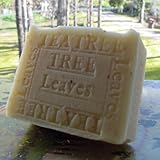 Australian Tea Tree with Cocoa Butter and Tree Leaves