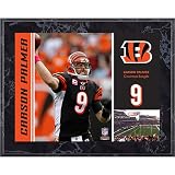 Mounted Memories Cincinnati Bengals Carson Palmer 8X10 Color Plaque Size: One Size