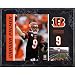 Mounted Memories Cincinnati Bengals Carson Palmer 8X10 Color Plaque Size: One Size