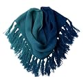 Mossimo Supply Co. Chunky Ombre Scarf - Blue