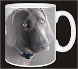 WEIMARANER DOG Coffee Mug  from Advanta