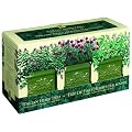 Garden at Home 42414 Italian Herb Trio