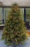 75 Pre-Lit Windsor Multi-Function Christmas Tree w Remote Control Clear Multi